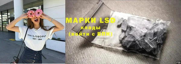 крисы Абаза