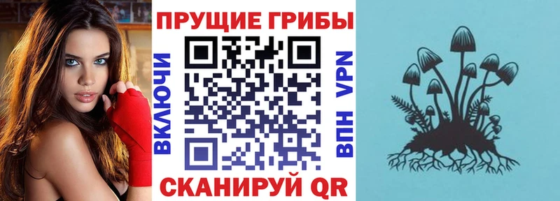 Галлюциногенные грибы GOLDEN TEACHER  Горбатов 